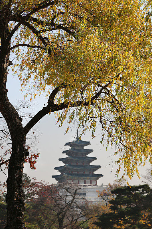 首尔庆福宫的秋天