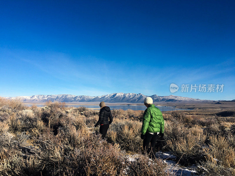 漫步在美丽的冬季草地上