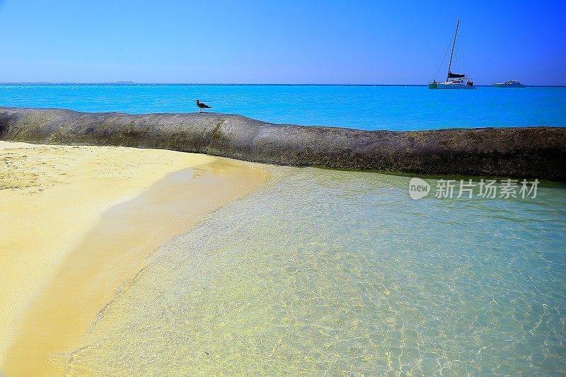在墨西哥加勒比海的坎昆，田园般的绿松石海滩，船只，游艇