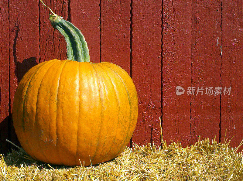 pumpkin_barn