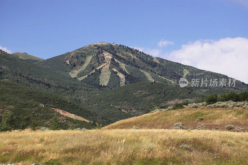 夏天有滑雪道的山