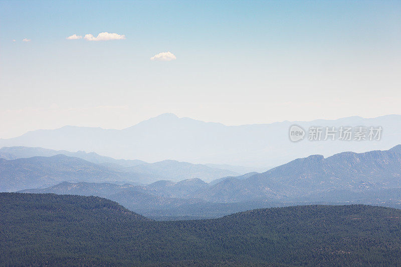 椰子森林雾霾荒野峡谷景观