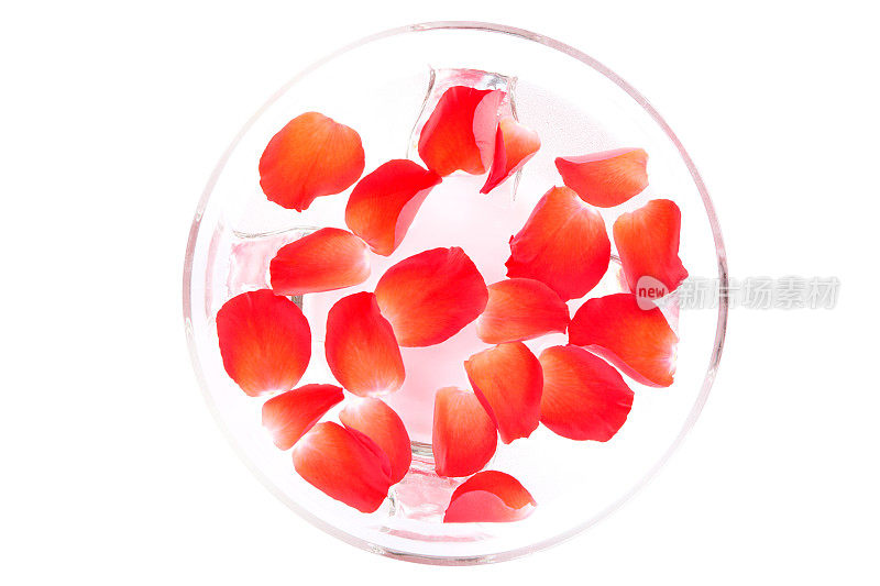 红玫瑰花瓣漂浮在水中