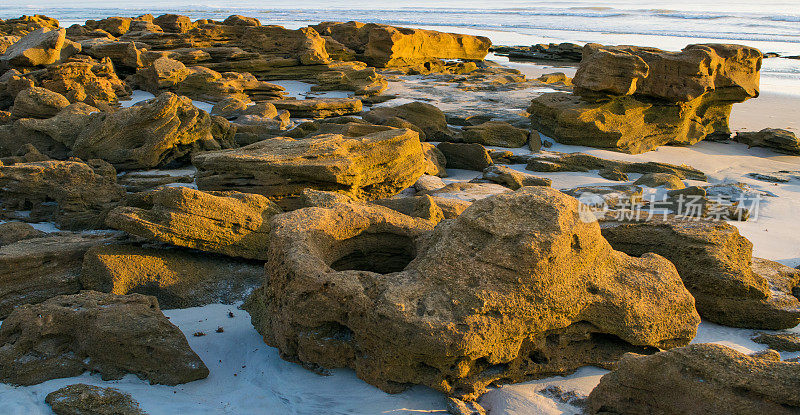佛罗里达海滩上的Coquina石灰石