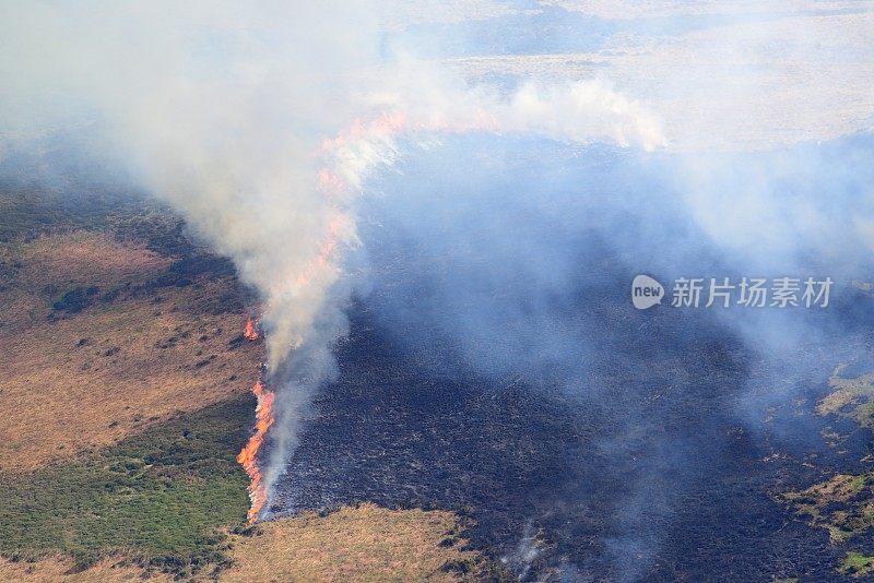 山坡上的火灾