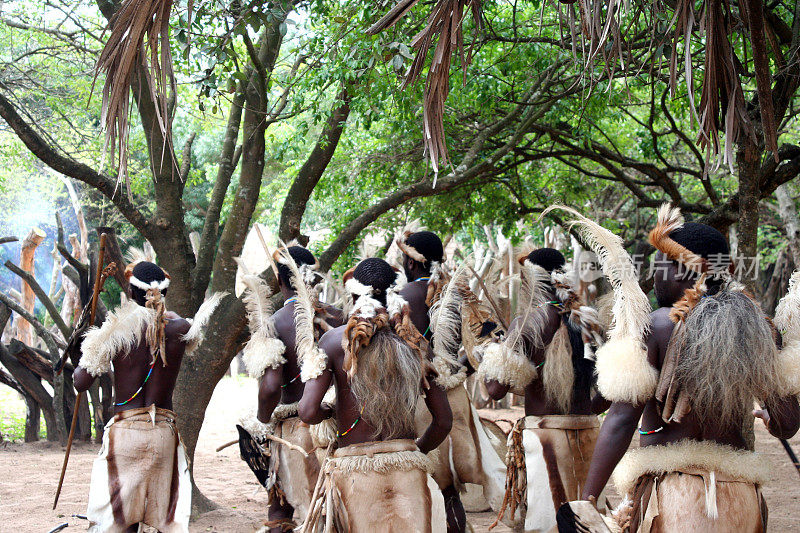 非洲土著部落舞蹈