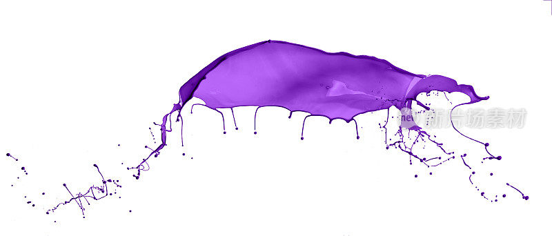紫色飞溅孤立在白色背景
