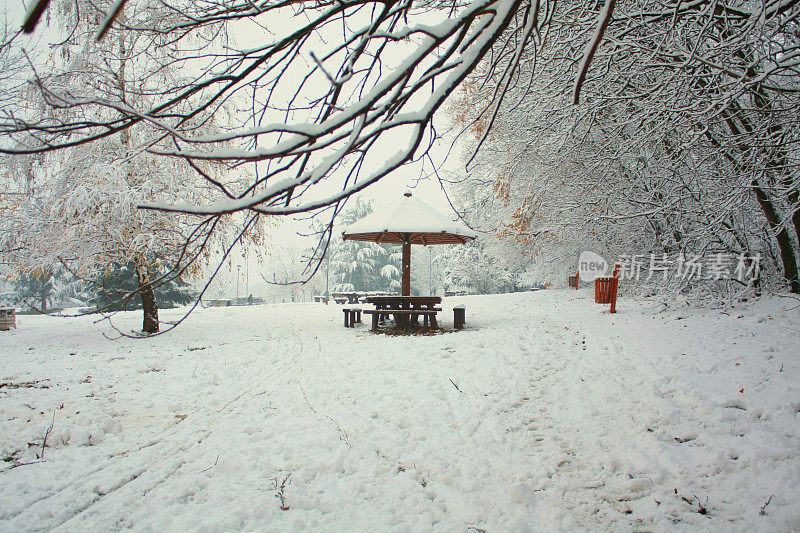 贝尔格莱德冬天的雪景