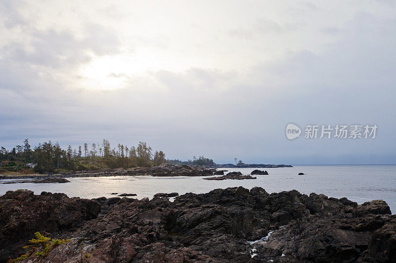 沿着野生太平洋小径的海景，Ucluelet