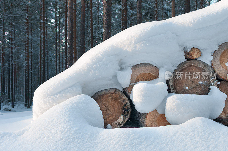 白雪覆盖的原木堆