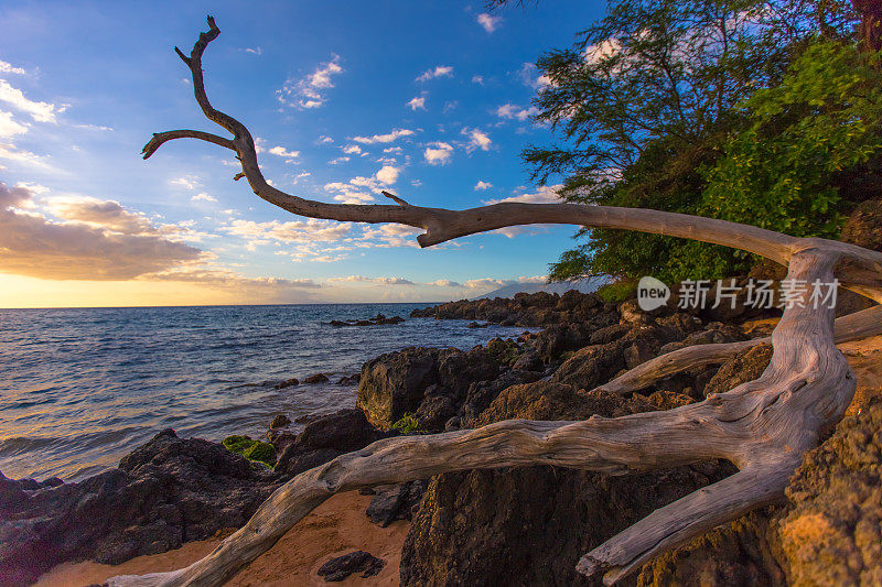 夏威夷的海滩