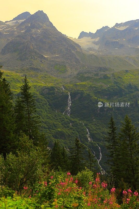 田园诗格施塔德和萨宁高山山谷和草甸，戏剧性的瑞士迪亚伯雷雪山，田园诗乡村花坛，伯尔尼坎顿，瑞士阿尔卑斯山，瑞士