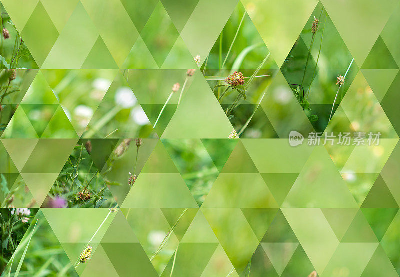 抽象的三角形马赛克背景:野生草地