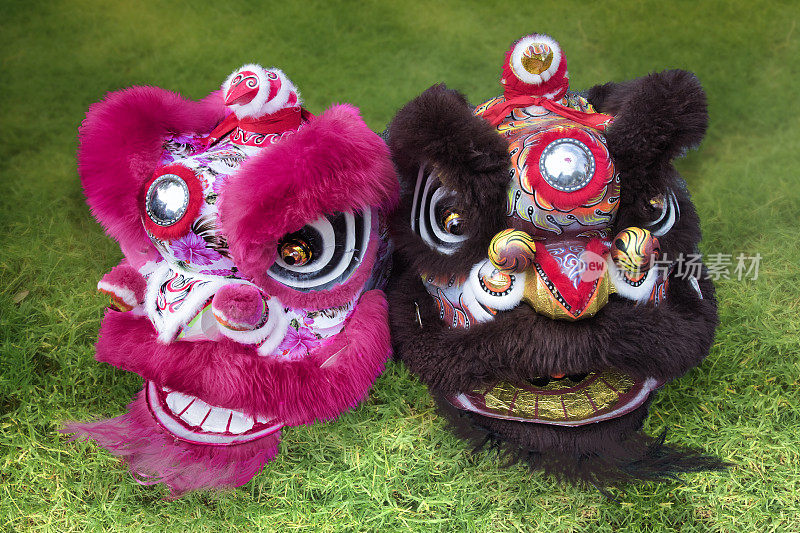 两套中国舞狮服装在草地上跳舞