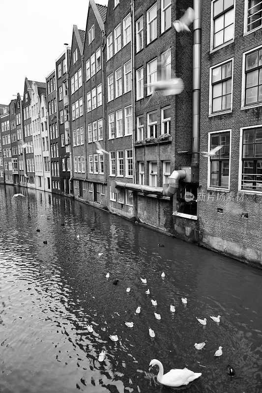 阿姆斯特丹城市景观与运河