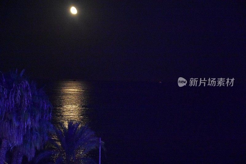 伊比沙岛，夜晚海滩上的月亮和棕榈树
