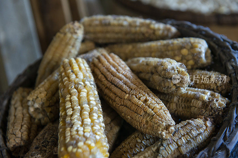 玉米种类-玉米种子-玉米芯-生食