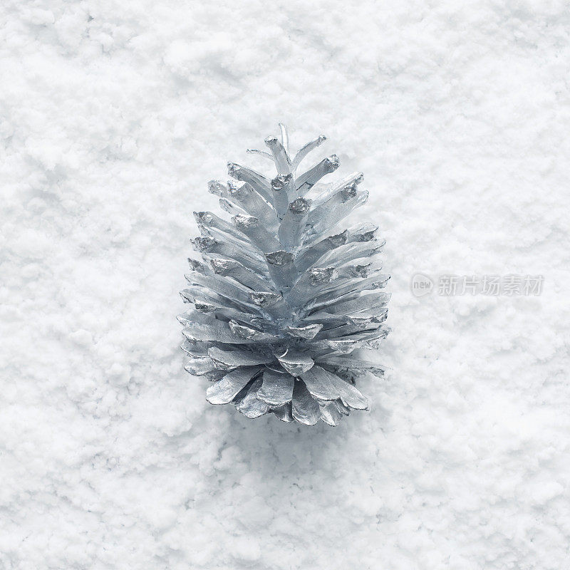 冬季，圣诞概念的创意与银松果和雪