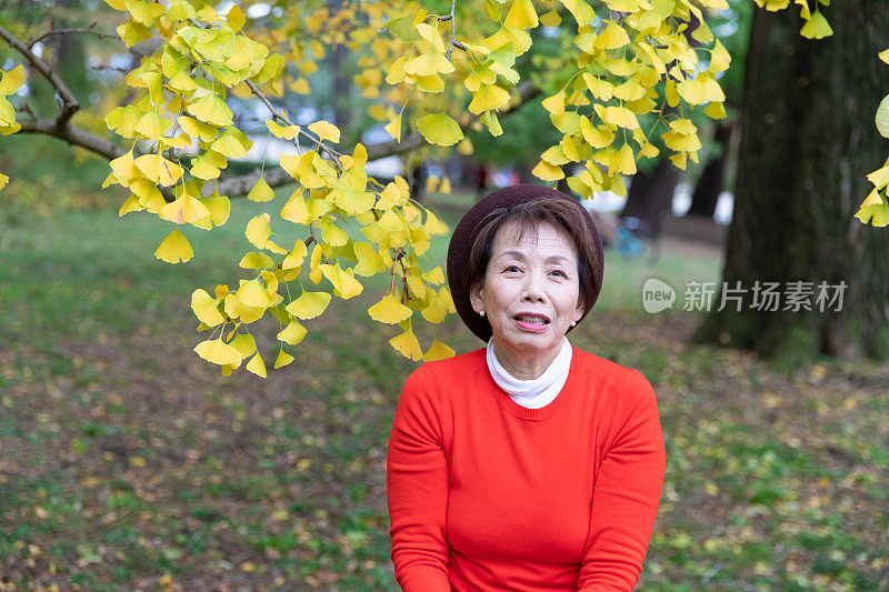 老年妇女享受秋天