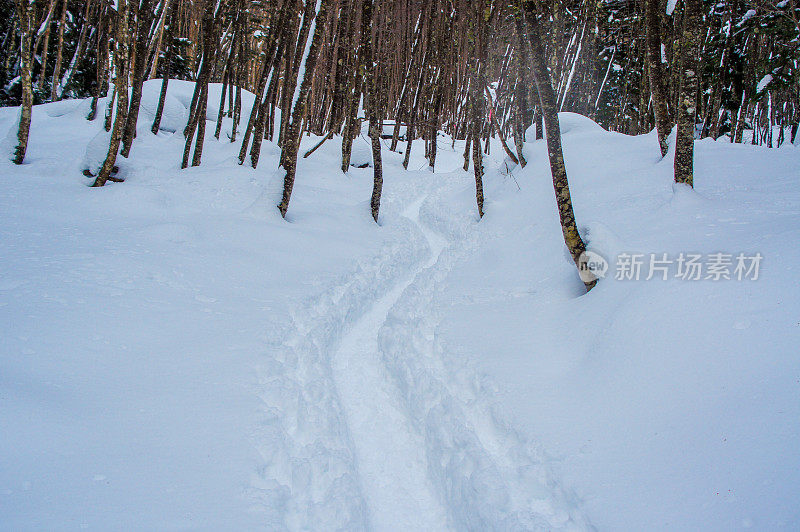 去日光山的雪兰山