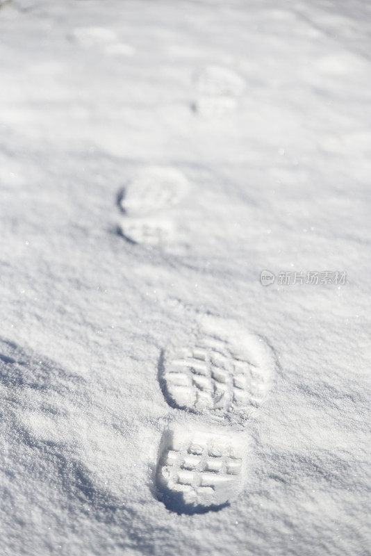 雪地里的脚印