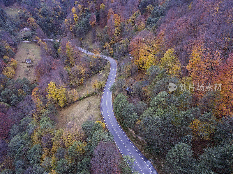 穿越秋天森林的道路-鸟瞰图