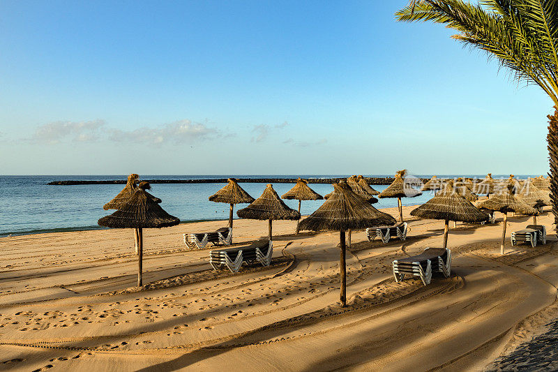 西班牙特内里费岛的美洲海滩，配有日光浴床和遮阳伞