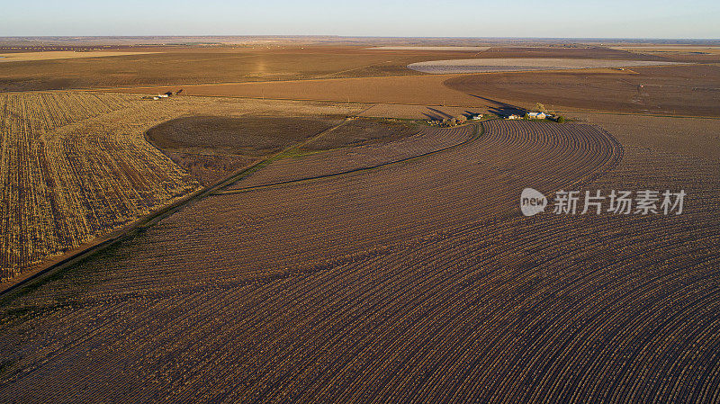 鸟瞰图的棉花田准备收获在秋天日落，德克萨斯州，美国