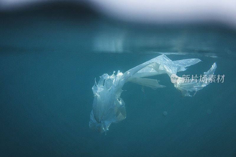 塑料水母