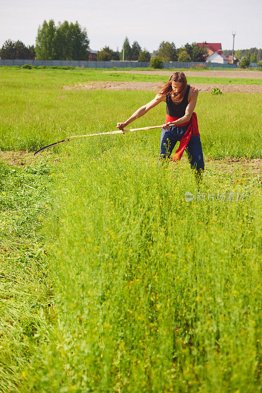 农民在夏季草地上用经典的镰刀割草