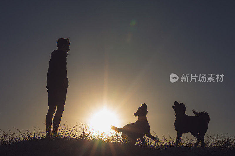 一名少年在日落时与他的狗玩耍