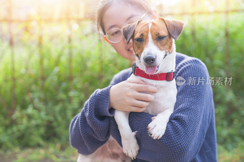 亚洲家庭十几岁的女孩玩好玩的她的宠物杰克罗素梗狗在花园在夏天的早晨