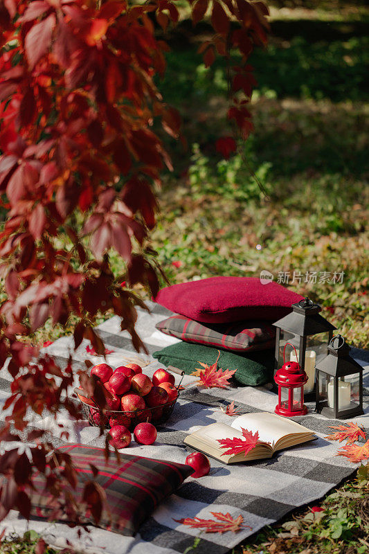 秋天天气暖和。印度的夏天。在花园里野餐——在秋叶的背景上，灰色、紫红色和绿色的毯子和枕头。