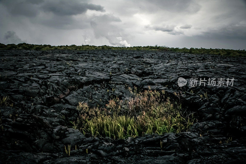 夏威夷火山国家公园