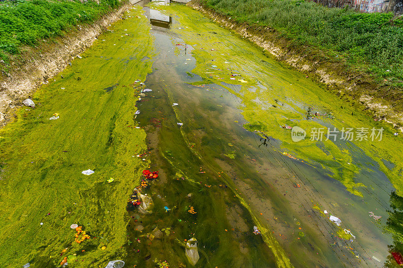 印度德里被污染的亚穆纳河。