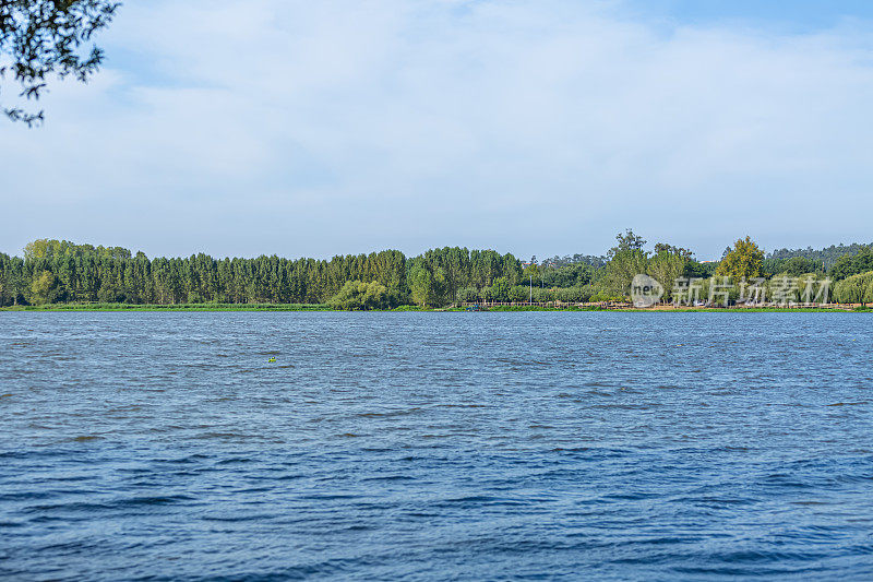 水景湖，水生植被和树木在对岸的岸边