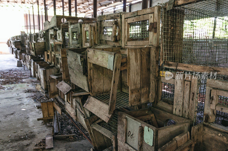 切尔诺贝利隔离区普里皮亚季水生生物动物建筑实验室。苏联乌克兰切尔诺贝利核电站隔离区