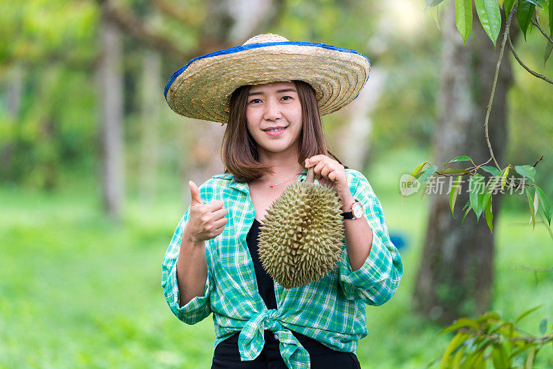年轻女子在榴莲农场竖起大拇指。亚洲妇女在榴莲园中展示月龙的榴莲。Chanthaburi、泰国