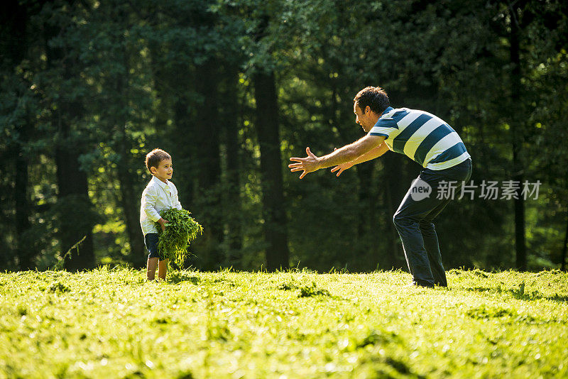 小男孩和他爸爸一起玩刚割的草