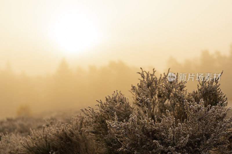 在一个寒冷的秋日开始的雾蒙蒙的日出中，希斯兰的风景