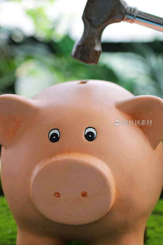 特写图像的小猪银行与插槽顶部看相机与锤子提高了以上，贷款，打破银行，家庭财务和储蓄的概念