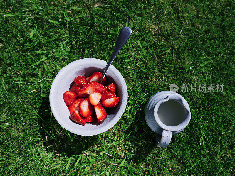 头顶上的乡村碗装满了自家种植的草莓在室外花园草坪在一个阳光明媚的日子与一罐重奶油。