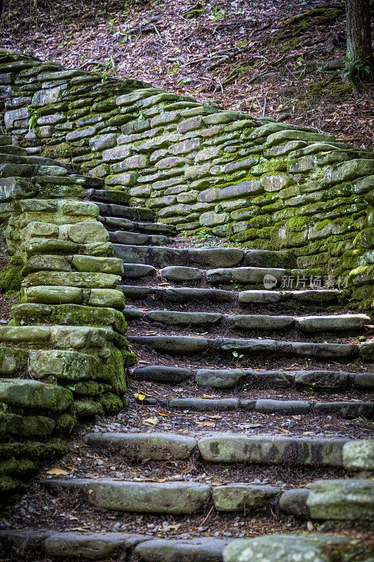 莱奇沃思州立公园-弯曲的石阶