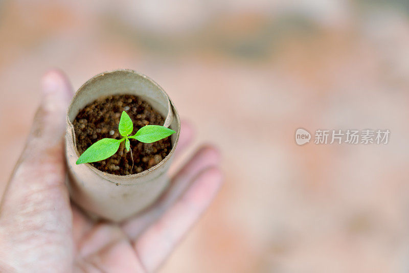 妇女抱着用再生材料培育的植物幼苗