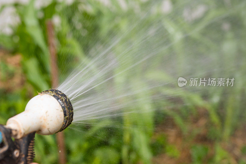 用手持水管给花园浇水