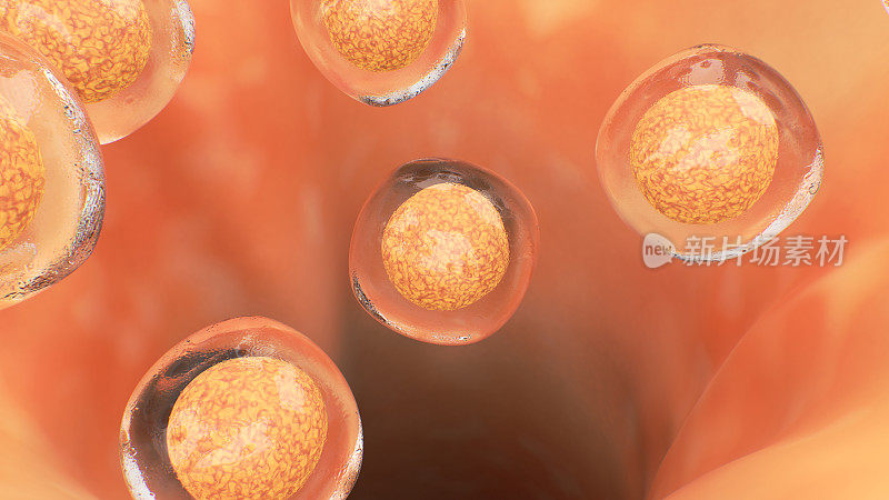 干细胞的详细图像
