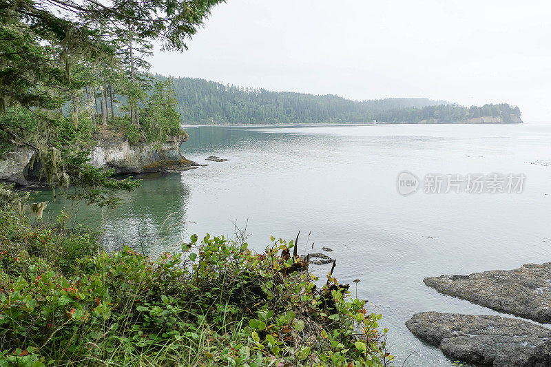 乔伊斯附近的海岸风景