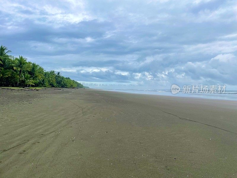 海岸线和海滩——哥斯达黎加的奎波斯