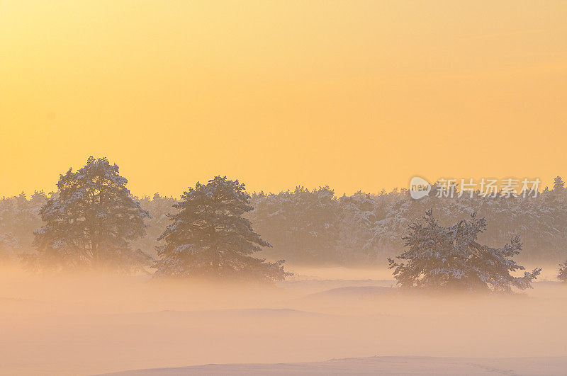 在一个漂移的沙丘地区的冬季雪景