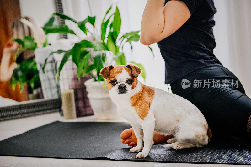 瑜伽课上抱狗的女人